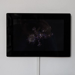 the glamouring baby, 2012, HD Video (loop), 10.1 Colour TFT LED (26,65 cm), Limited Edition of 300