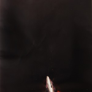 "Nightpur II", 2014, ca. 230x127cm, Rocketogram / Color-Photogram, unique