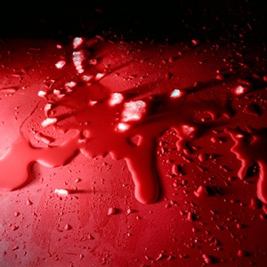 "BOW II(The Blood Of Water) no.5", 2013, ca. 90x106cm, C-Print analog, 2+1 AP