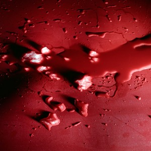 "BOW II(The Blood Of Water) no.7", 2013, ca. 90x106cm, C-Print analog, 2+1 AP