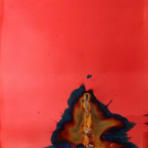 "Sunkenshine", 2014, ca. 180x106cm, Rocketogram / Color-Photogram, unique