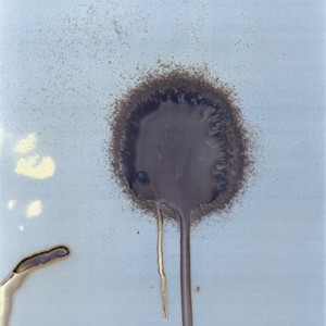 "W1", 2008, ca. 140x100cm, water on untreated silvergelatine paper/ scanned, inkprint, 2+1 AP