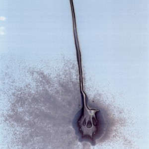 "W2", 2008, ca. 140x100cm, water on untreated silvergelatine paper/ scanned, inkprint, 2+1 AP