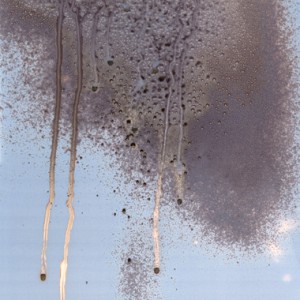 "W3", 2008, ca. 140x100cm, water on untreated silvergelatine paper/ scanned, inkprint, 2+1 AP
