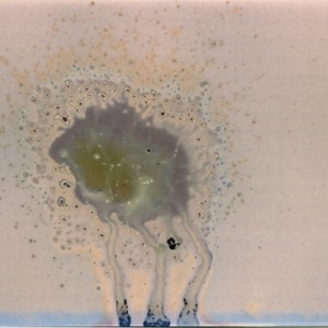 "W4", 2008, ca. 100x140cm, water on untreated silvergelatine paper/ scanned, inkprint , 2+1 AP