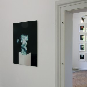 Dokumentation view of “TWO EXHIBITIONS – PHOTOGRAPHIC WORKS. Daniel T. Braun / Eyal Pinkas”, UP ART Galerie für zeitgenössische Kunst, Neustadt an der Weinstraße (Double Solo), 2017