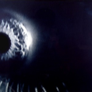 o.T., 1996, ca.45x60cm, Cyanotypie, 1+1AP