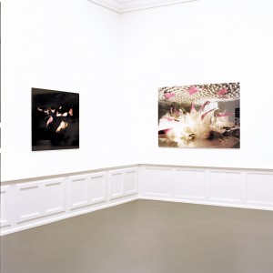 2004 „Blight“ Diplompräsentation im badischen Kunstverein Karlsruhe (picture right "In Embryo no.1", picture right "Bomb no.1)