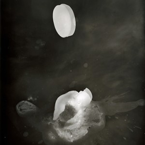 "Blazing Fruits no.20", 2011, ca. 140x100cm, Photogram / Fine Art Print, 1+1 AP