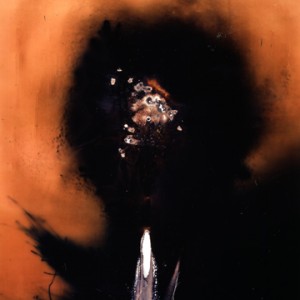 "Overseer 2", 2003, ca.170x106cm, Rocketogram/Colorphotogram, unique