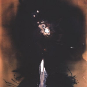 "Whistling Moon", 2003, ca.170x106cm, Rocketogram/Colorphotogram, unique