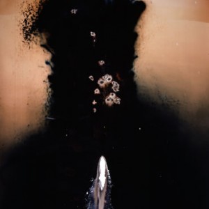 "Lockheed", 2003, ca.170x106cm, Rocketogram/Colorphotogram, unique