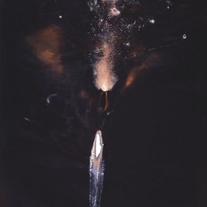 "Wall-Eye", 2003, ca.170x106cm, Rocketogram/Colorphotogram, unique