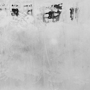 "WOS no.2/ the water on my body", 2012, ca. 106x200cm, BW Photogram, unique
