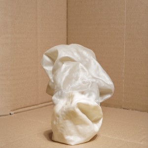 “PMSG_1“, 2025, ca. 160cm x 123cm, Fine Art Print, 2+1 AP