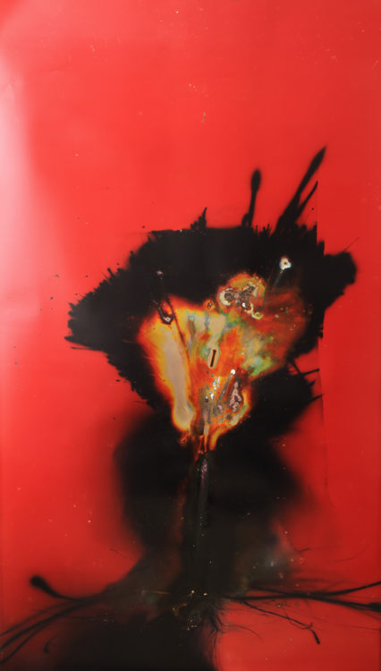 "Aglowing Brilliant”, 2014, ca. 230x127cm, Rocketogram / Color-Photogram, unique