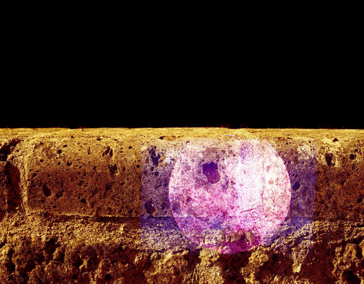 untitled : UP1, 2010, ca. 70x80cm, C-Print analog, 2+1 AP