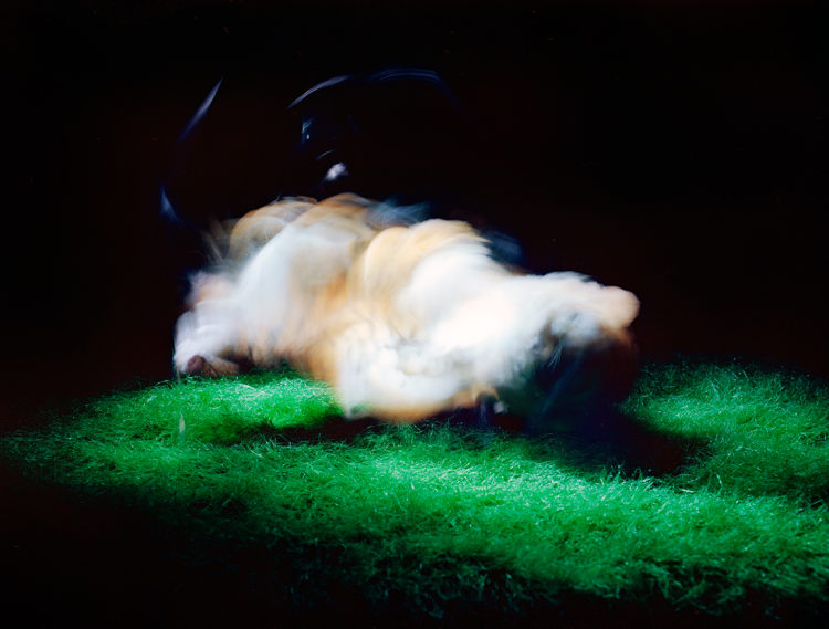 “AOG no.1″, 2013, ca. 90x120cm, C-Print analog, 2+1 AP