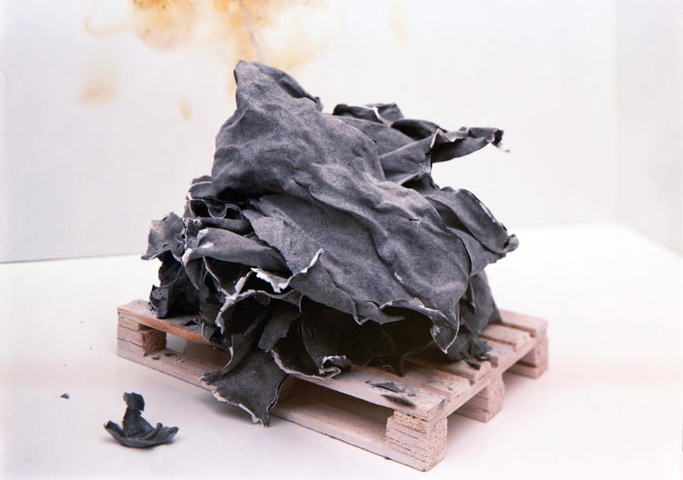 “AP1″, 2009, ca. 180x240cm, C-Print, 2+1 AP