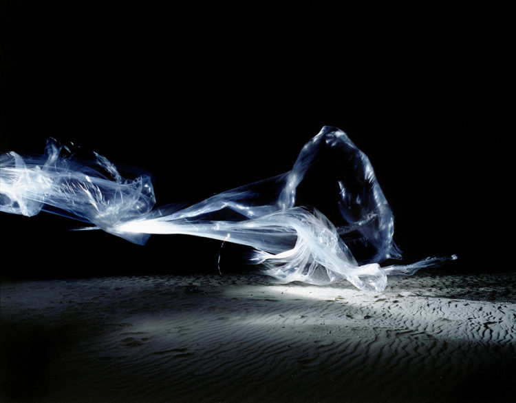 “Bl no.6″, 2008, ca. 100x120cm, C-Print, 2+1 AP