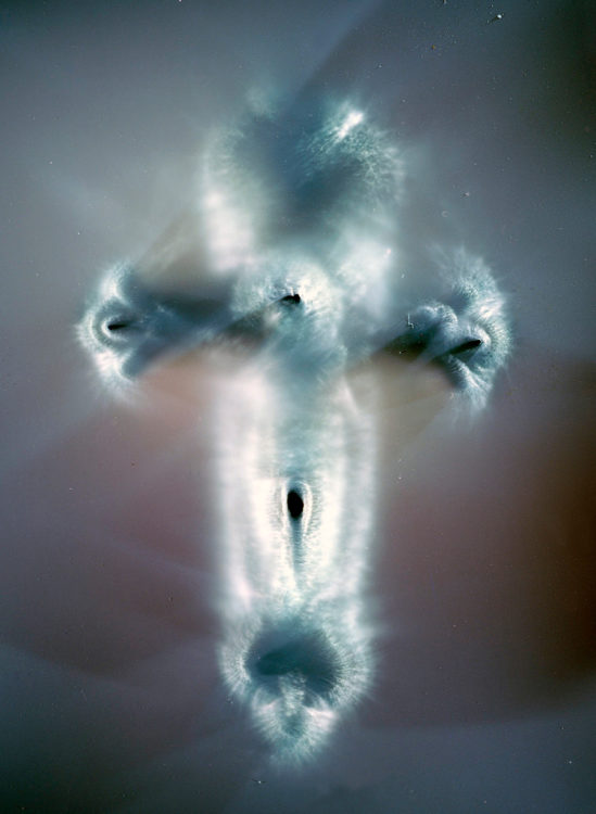 “CRS no.9″, 2015, ca. 120x100cm, photogram on colorfilm:C-Print analog, 2+1 AP