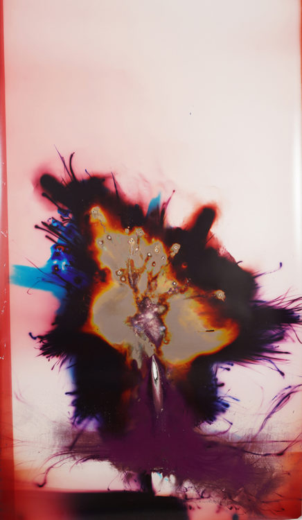 “Disney-Swish”, 2021, ca. 240x127cm, Rocketogram : Color-Photogram, unique