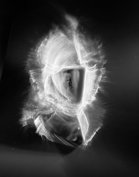 “KNGTLY V no.11″, 2015, ca. 120x90cm, photogram on colorfilm:C-Print analog, 2+1 AP