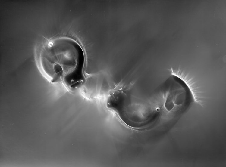 “LC_A no.2″, 2015, ca. 110x140cm, Photogramscan : LightJetprint, 2+1 AP