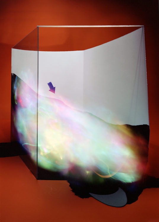 “LD no.1 : after Francis Bacon”, 2011, ca. 180x160cm, C-Print analog, 2+1 AP