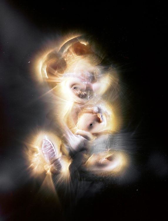 “MIM no.1″, 2017, ca. 130x100cm, photogram on colorfilm:C-Print analog, 2+1 AP