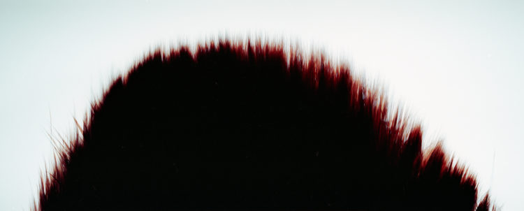 “PNSL no.13″, 2013, ca. 70x110cm, photogram on colorfilm:C-Print, 2+1 AP