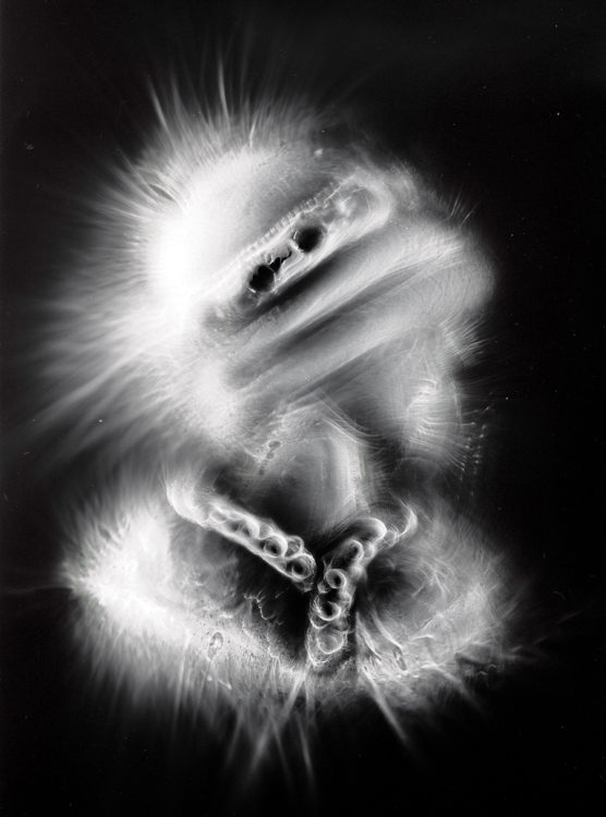 “PRT no.8″, 2017, ca. 130x100cm, photogram on colorfilm:C-Print analog, 2+1 AP