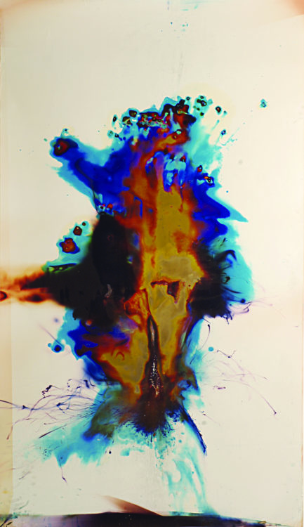 “Rafael Phython”, 2006, ca. 180x130cm, Rocketogram : Color-Photogram, unique