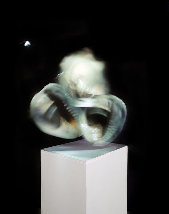 “SON no.7″, 2013, ca. 110x90cm, C-Print analog, 2+1 AP