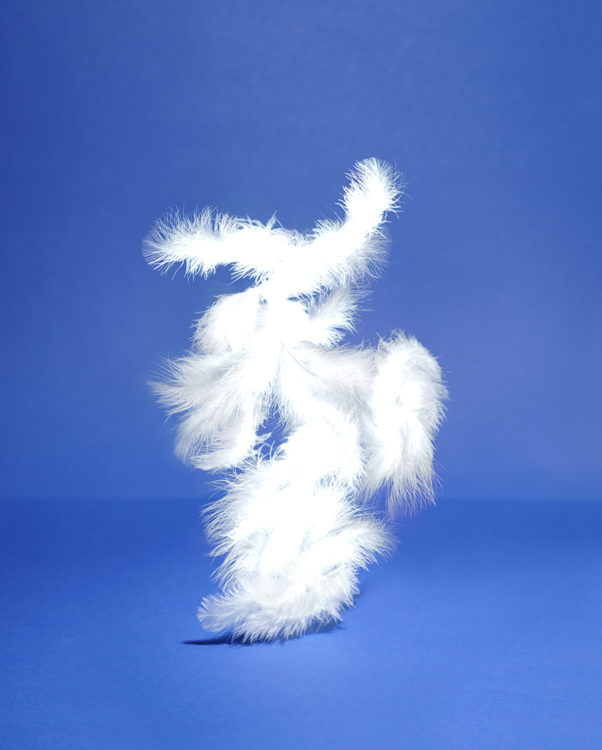 “STUDY OF A WHITE FEATHER IV” 2023, ca. 180cm x 120cm, Fine Art Print, 2+1 AP