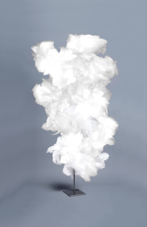 “Study of cotton”, 2023, ca. 214cm x 140cm, Fine Art Print, 2+1 AP