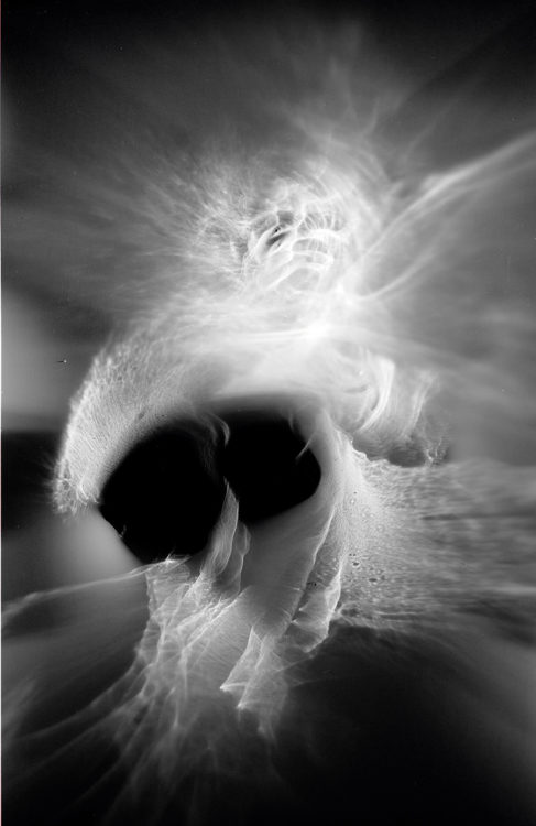 “TPOV no.1″, 2019, ca. 130x100cm, photogram on colorfilm:C-Print analog, 2+1 AP